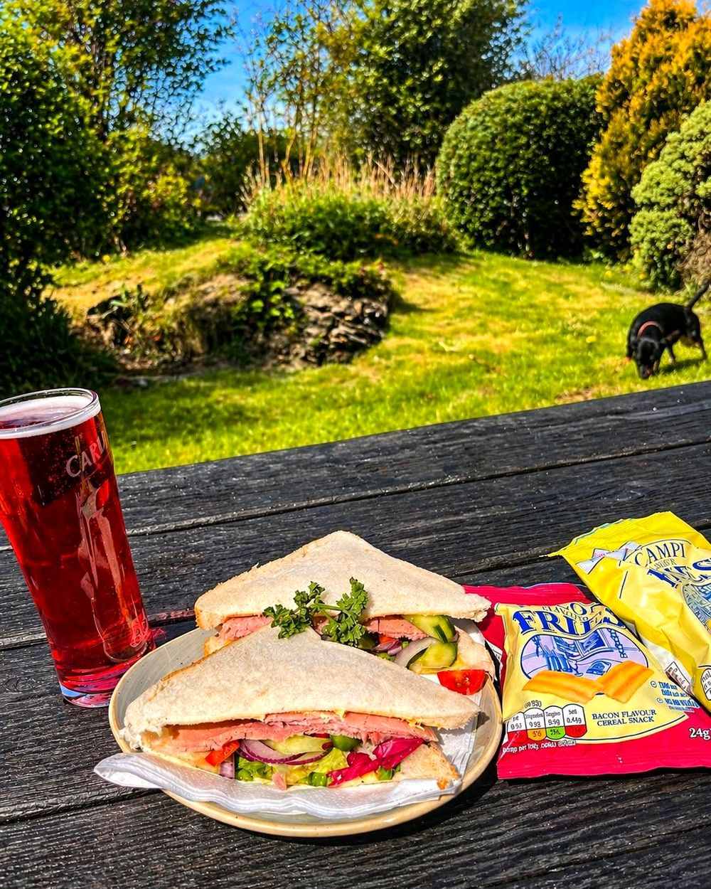 A toasted sandwich and a pint on a picnic bench in Oily's beer garden